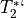 T_2^*`