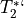 T_2^*`
